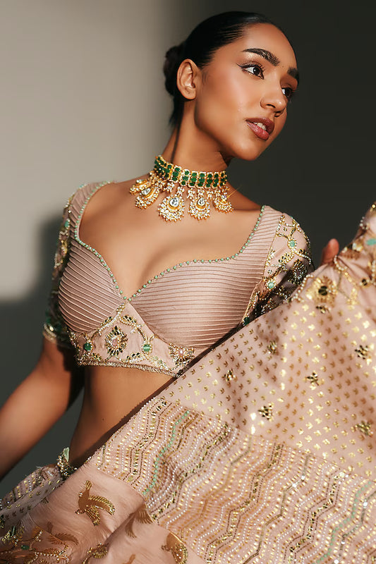 Blush Pink Banarasi Silk Chanderi Hand Embroidered Lehenga Set