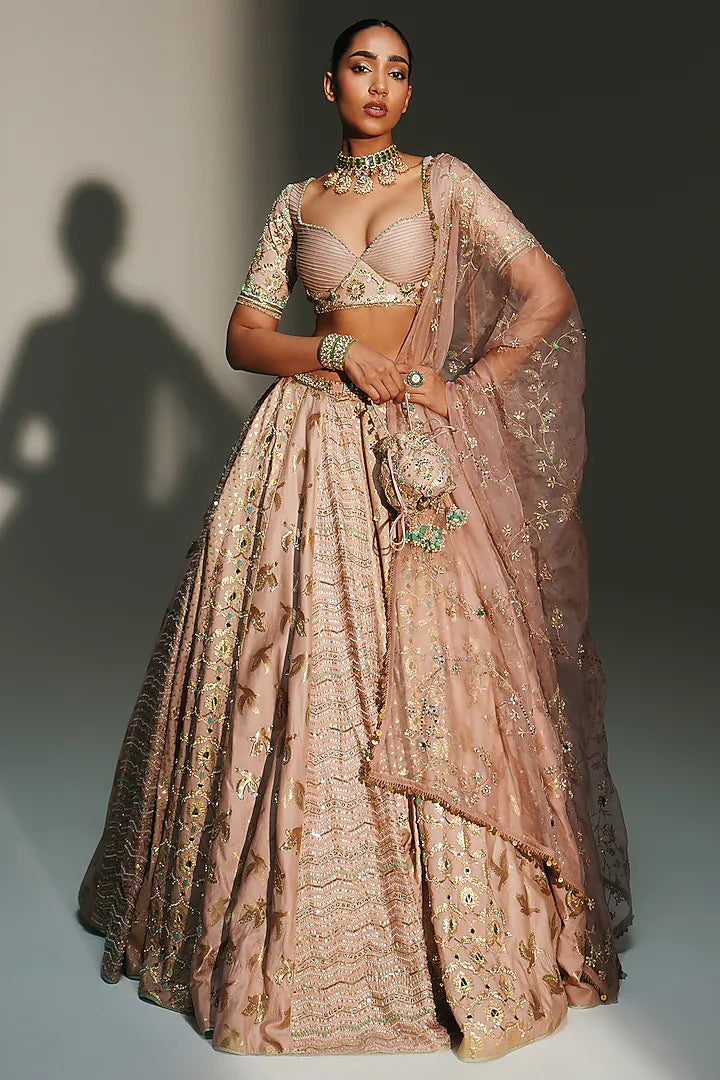 Blush Pink Banarasi Silk Chanderi Hand Embroidered Lehenga Set