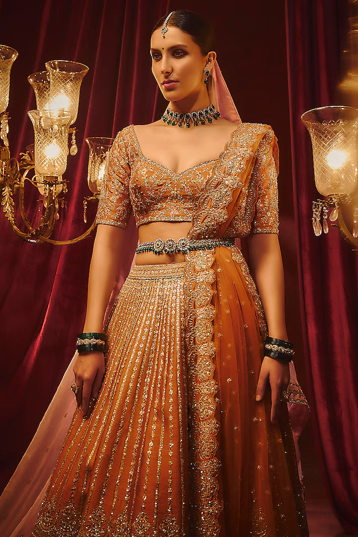 Rust Raw Silk Hand & Machine Embroidered Lehenga Set