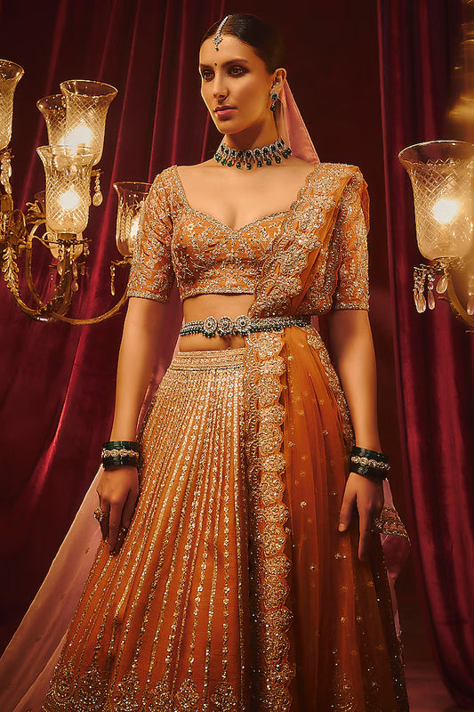 Rust Raw Silk Hand & Machine Embroidered Lehenga Set