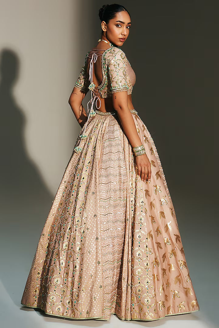 Blush Pink Banarasi Silk Chanderi Hand Embroidered Lehenga Set