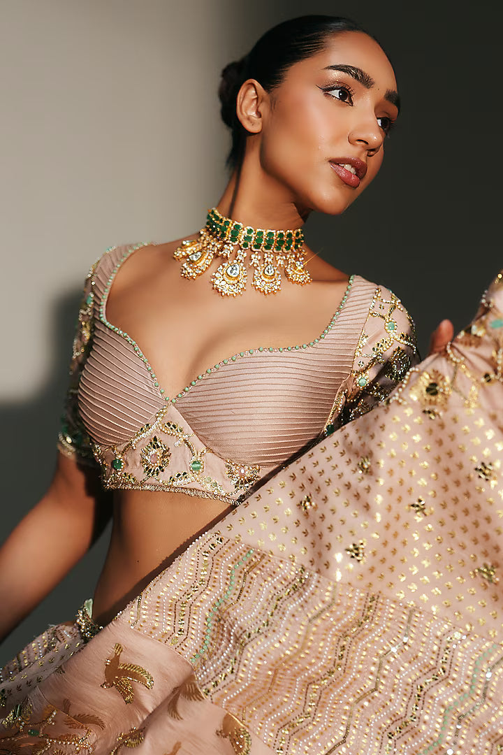 Blush Pink Banarasi Silk Chanderi Hand Embroidered Lehenga Set