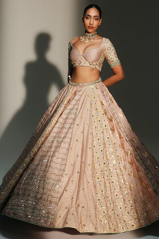 Blush Pink Banarasi Silk Chanderi Hand Embroidered Lehenga Set